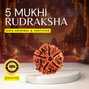 5 Mukhi Rudraksha