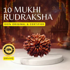 10 Mukhi Rudraksha