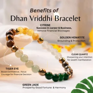 2 Dhan vriddhi bracelet