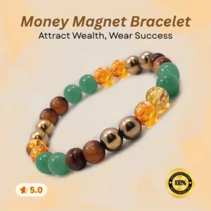 Money magnet bracelet