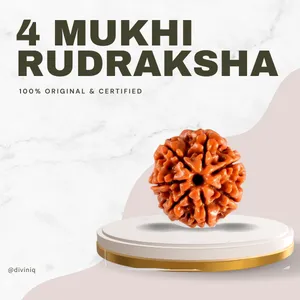4 Mukhi Rudraksha