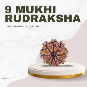 9 Mukhi Rudraksha
