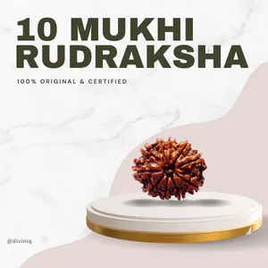 10 Mukhi Rudraksha