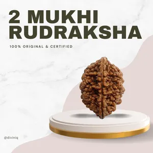 2 Mukhi Rudraksha