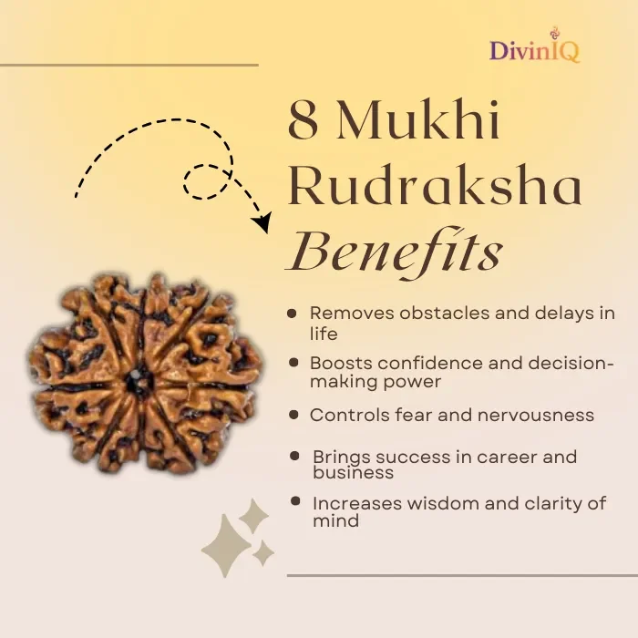 8 Mukhi Rudraksha