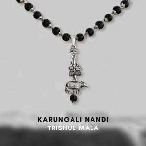 karungali nandi trishul mala for protection and lord shiva blessings by DivinIQ
