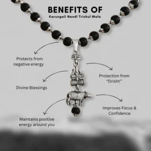 close up of karungali wood mala with nandi and trishul pendant detailing close up of karungali wood mala with nandi and trishul pendant detailing