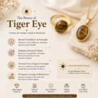 Tiger Eye2