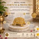 Rinmukteshwar Siddh Ashtalakshmi Tortoise Idol3