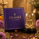 Shiv Shakti Murti5
