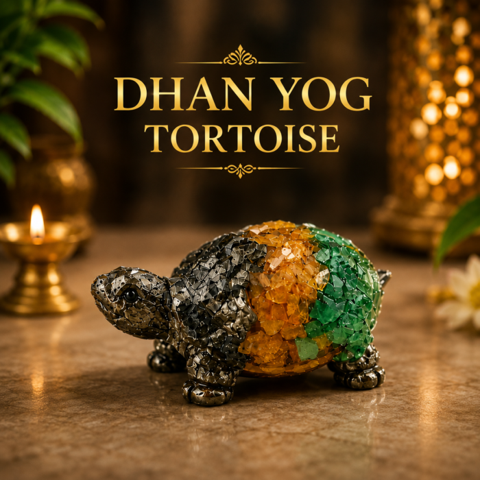 dhan yog turtoise