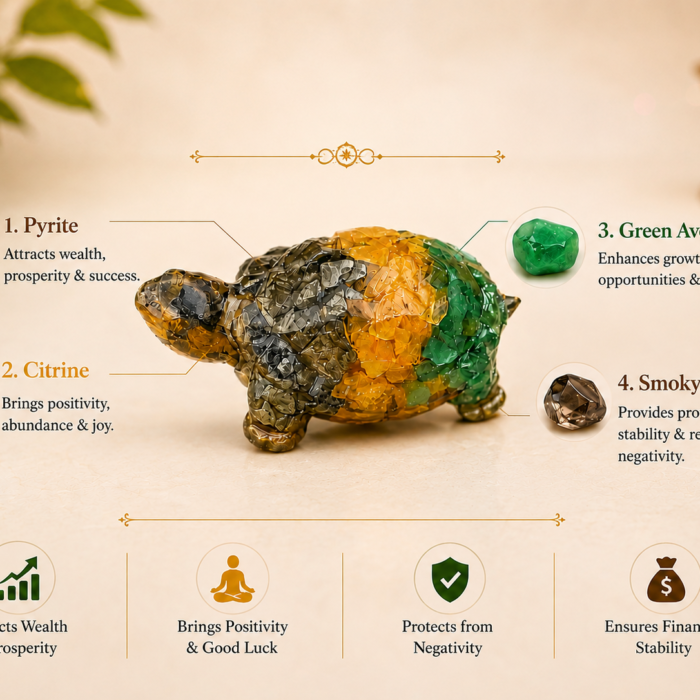 dhan yog turtoise4